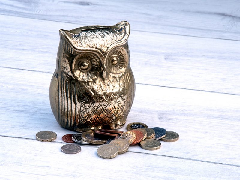 owl-moneybox